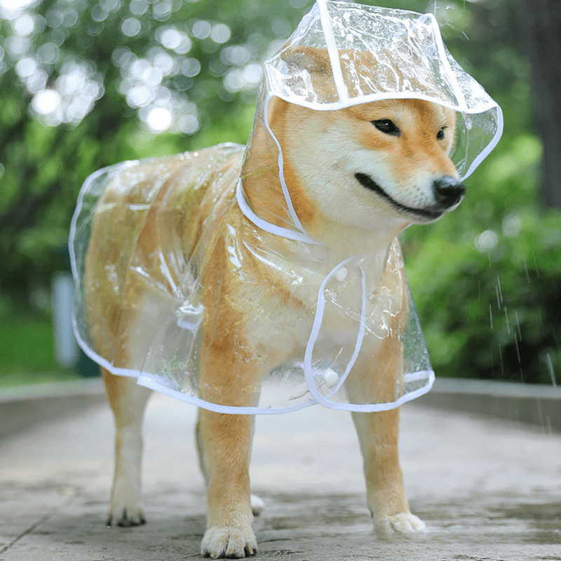 High-Visibility Transparent Pet Raincoat - Durable & Stylish Outdoor Protection - Waterproof Hooded Cape for Puppies - Ideal for Walks in Rainy Weather