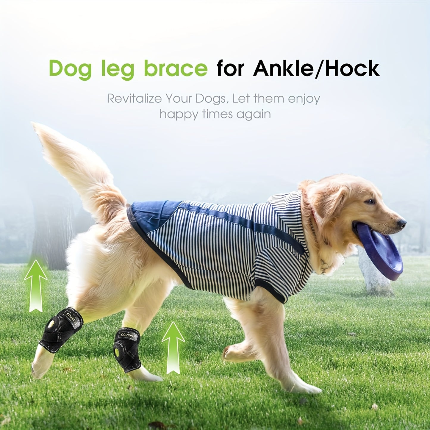 Dog Leg Brace For Rear Hock & Ankle, Canine Hind Leg Joint Compression Wrap For Back Leg Torn ACL & CCL, Old Dog Arthritis Relief, Injury And Sprain Protection, Wound Care, And Loss Of Stability