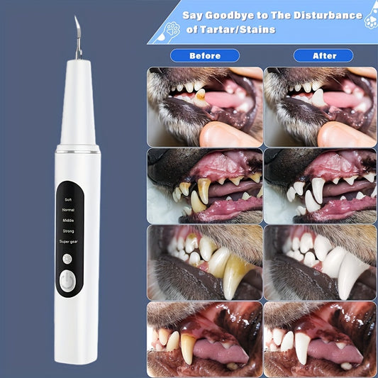 1pc Pet Electric Tooth Cleaner with 4 Modes, 2 Cleaning Heads, USB Rechargeable, Dental Care Tool for Dog Teeth Cleaning, Oral Cleaner with Light