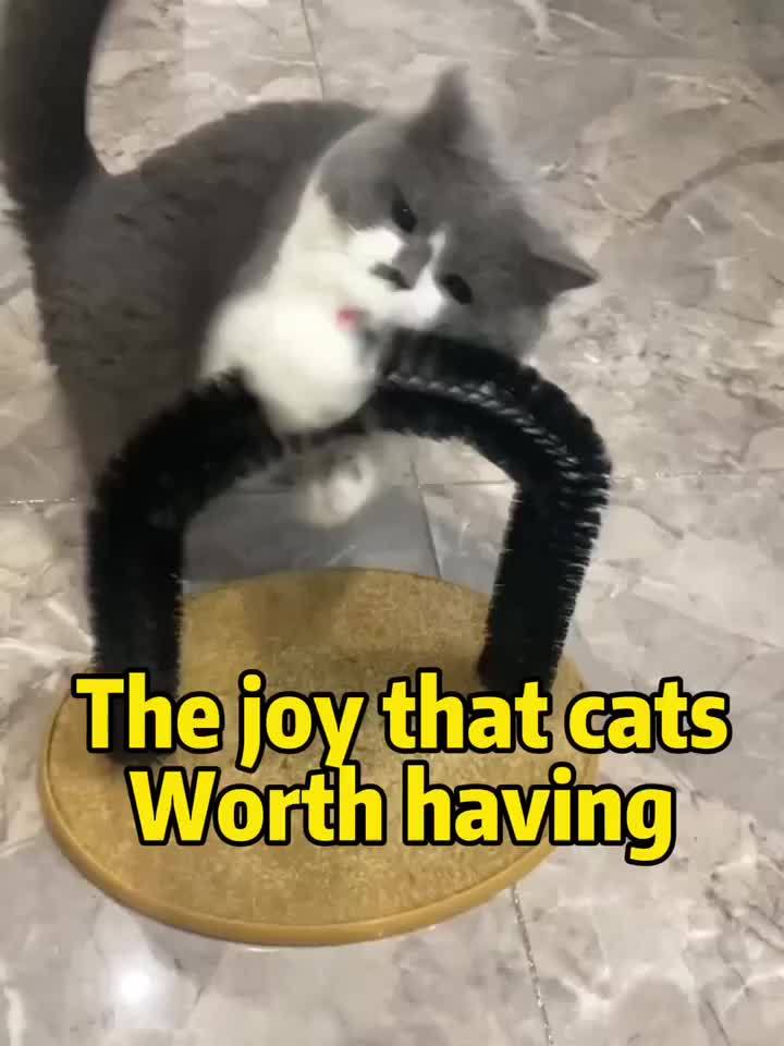 Cat Arch Self-Cleaning Grooming & Soothing Massage Toy - A Multifunctional Scratching Post and Interactive Playmate for Cats and Kittens of All Ages