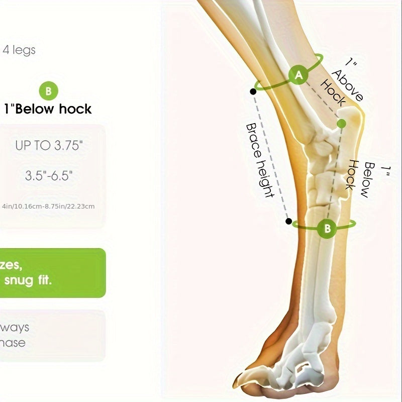 Dog Leg Brace For Rear Hock & Ankle, Canine Hind Leg Joint Compression Wrap For Back Leg Torn ACL & CCL, Old Dog Arthritis Relief, Injury And Sprain Protection, Wound Care, And Loss Of Stability