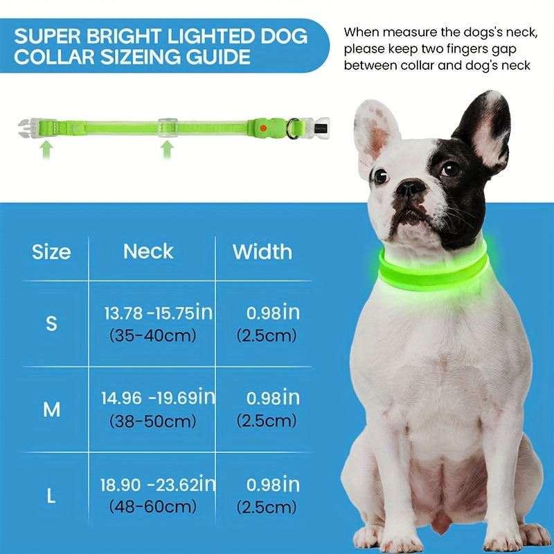 Vibrant LED Dog Collar for All Sizes - Basic Collars with Robust Buckle, USB Charging, Adjustable Straps, and Reflective Safety - Durable, Water-Resistant, and Easy to Use